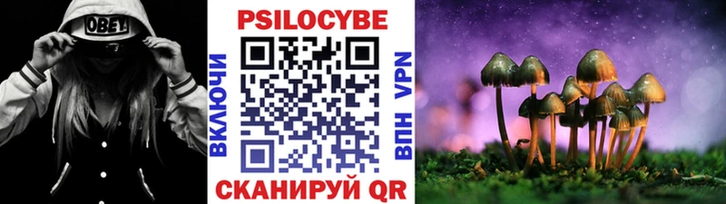 Галлюциногенные грибы ЛСД Осинники