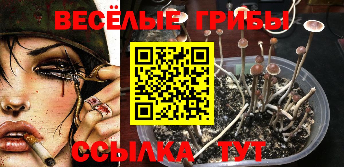 Галлюциногенные грибы мицелий Осинники