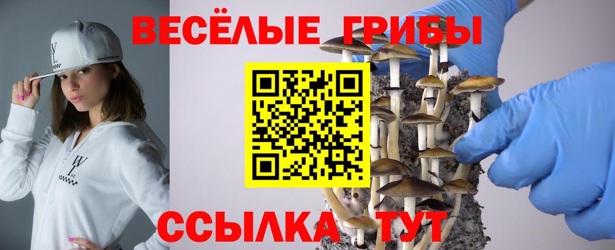 Осинники  Псилоцибиновые грибы ЛСД  Вход с VPN 